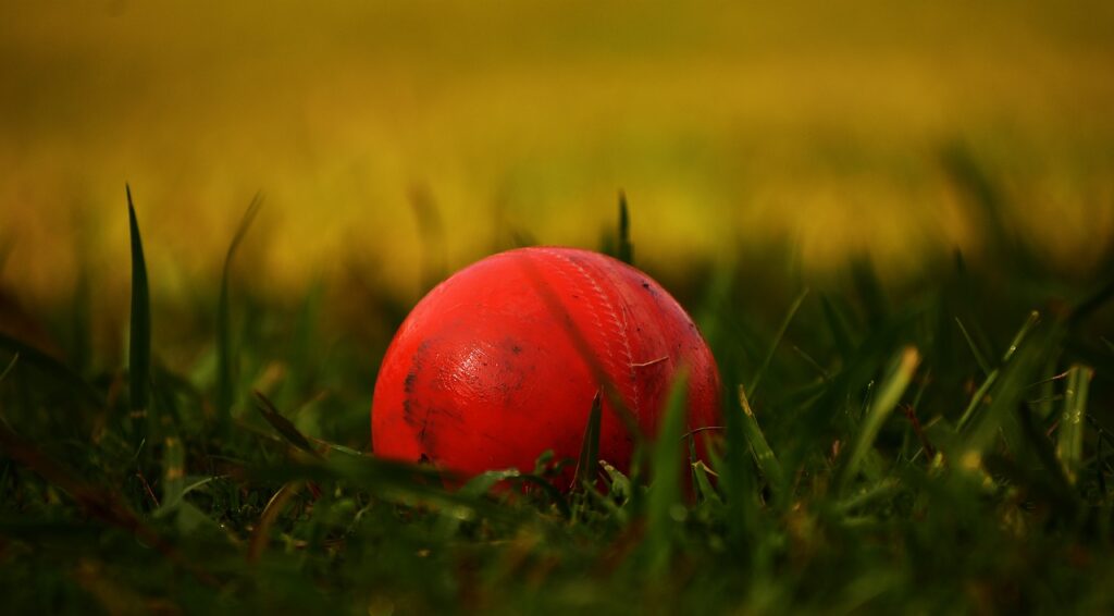ball, cricket, sports-4393070.jpg